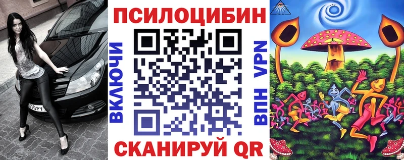 Купить Заволжск Галлюциногенные грибы мицелий